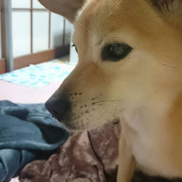 770f80a6 a871 463f b4e6 9eebc6b69552