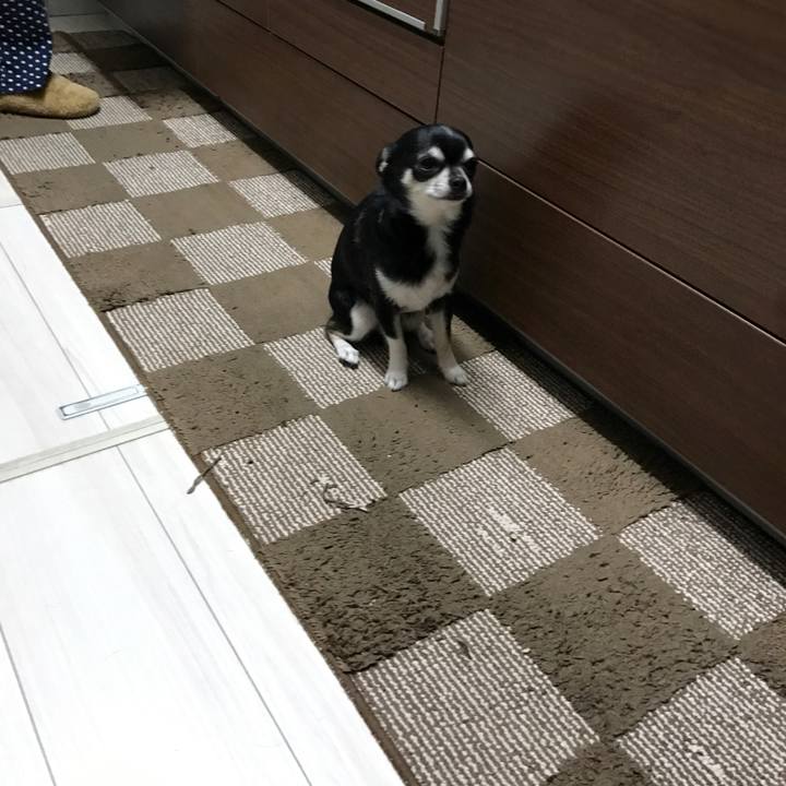 770ff5b5 7f05 4ceb 8b5c fed601bec057