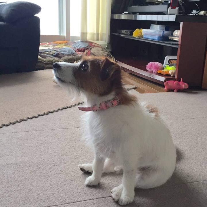 77105930 2708 4c87 a699 63e407553518