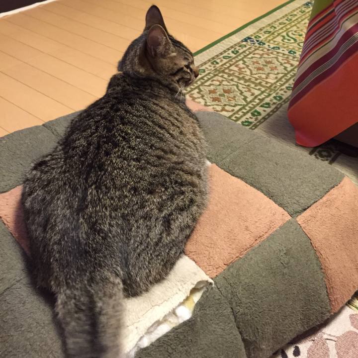 7710baa6 e22f 407c a9c9 48b37cbe2a0a