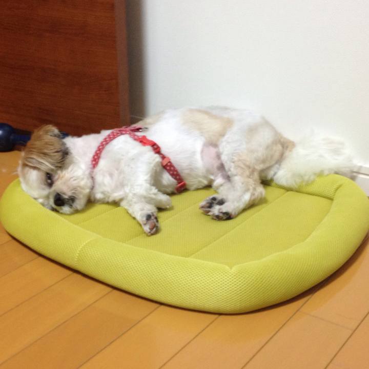 771238a3 c0ce 4d6b 91ec 80090983434b