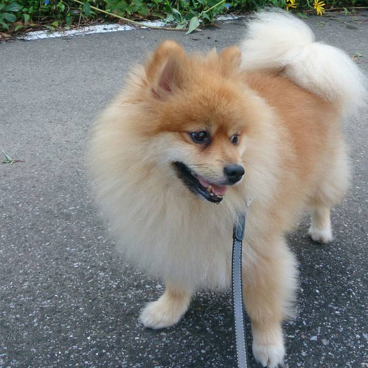 7712c105 d395 4555 8bdf 876512631fd1