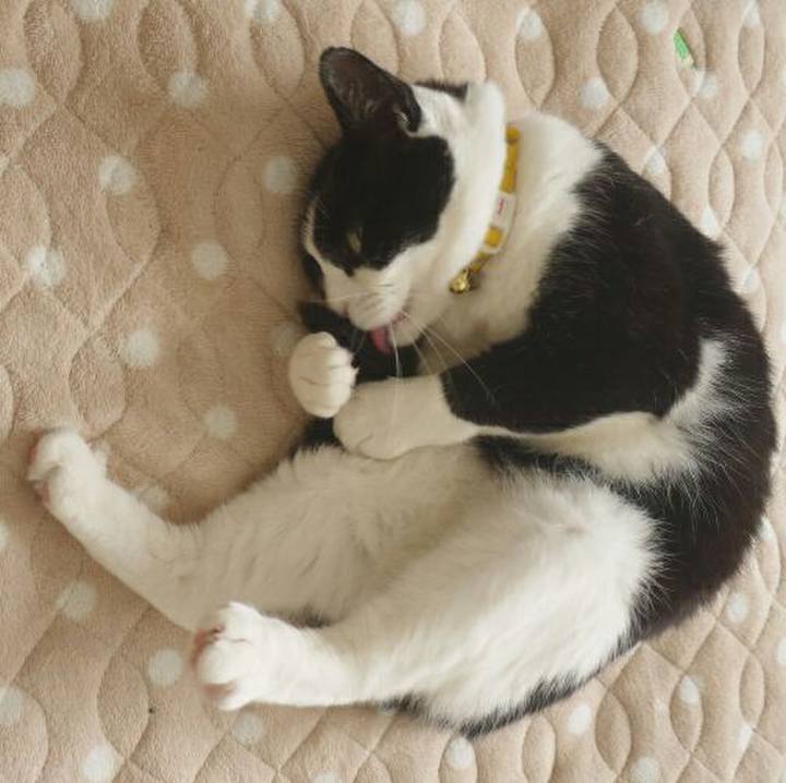 7712fb41 7e0e 43be ad9d f366667ab64a