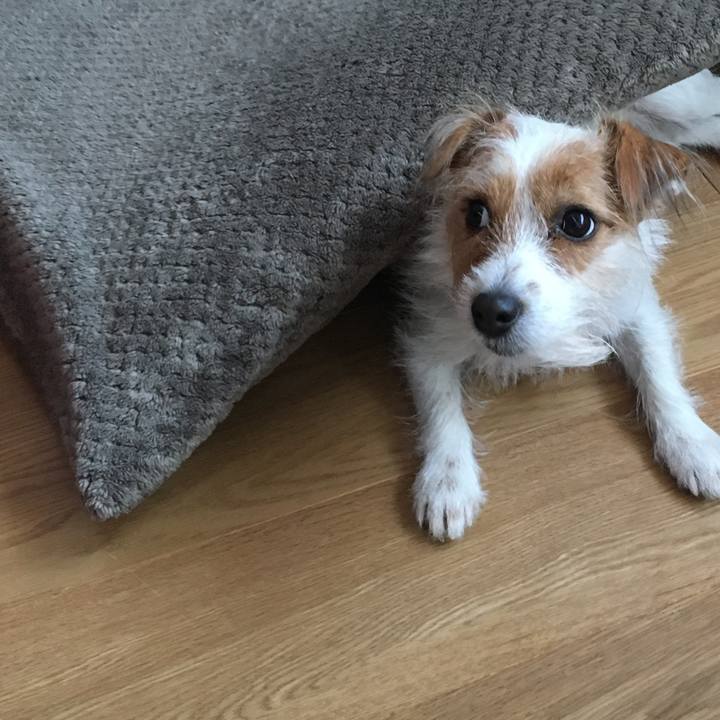 77138cd5 7b6c 4540 9211 366f8facf3f2