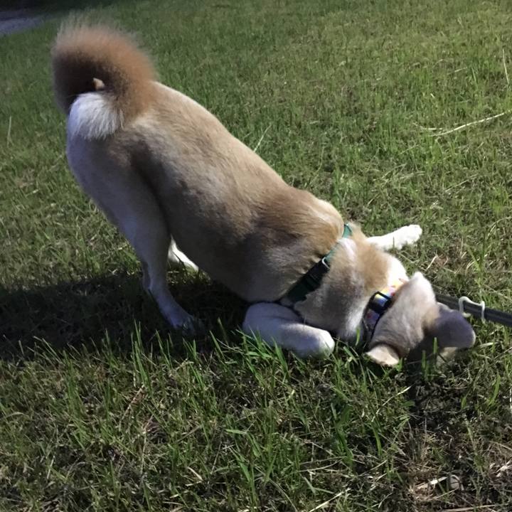 7713ca42 87ba 4836 baab 347aa09fb4a2