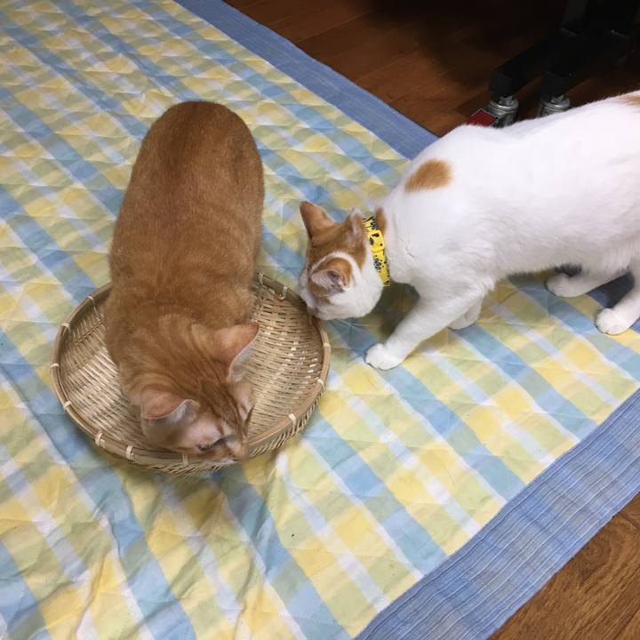 7713dda1 34af 484b bcbd 69f2f0d6bb24