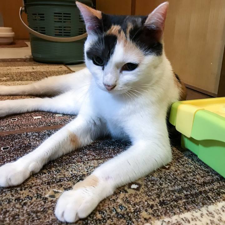 7713e972 2c14 4a07 9fbb 2e1fd574c8a3