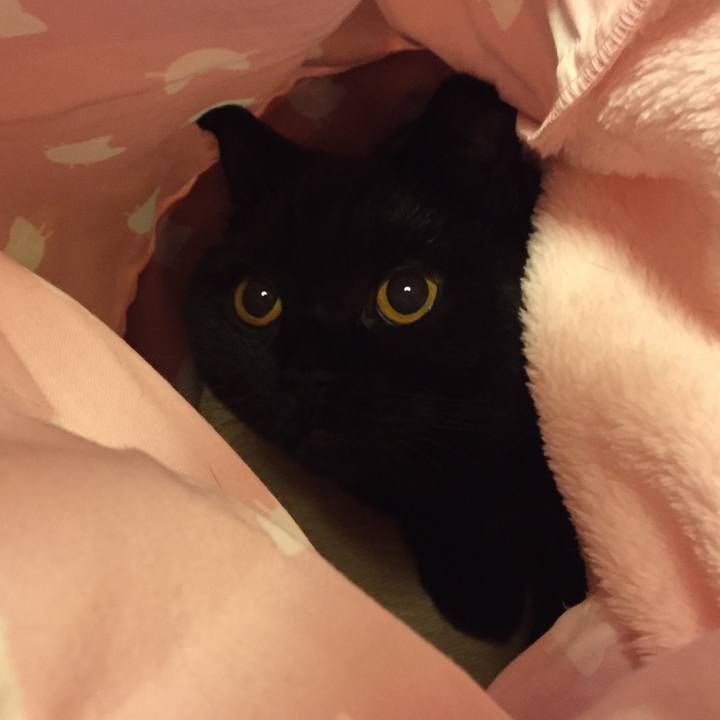 77146cd8 e5ca 471b 85ad 33c42bad2ecf