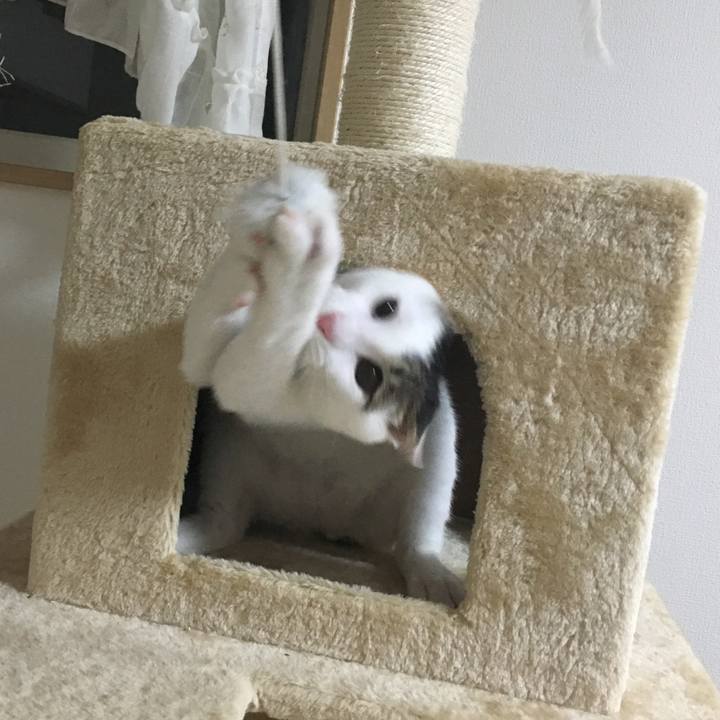 7714f843 0c57 4c4c b53e 5ffaa1c863b5