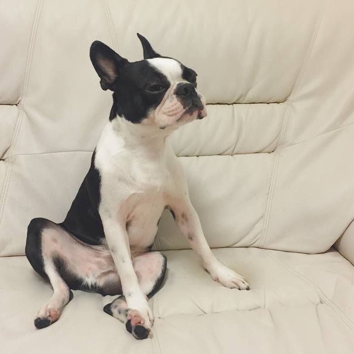 77169ab6 8ea1 4956 aa89 f0b0341ea1d2