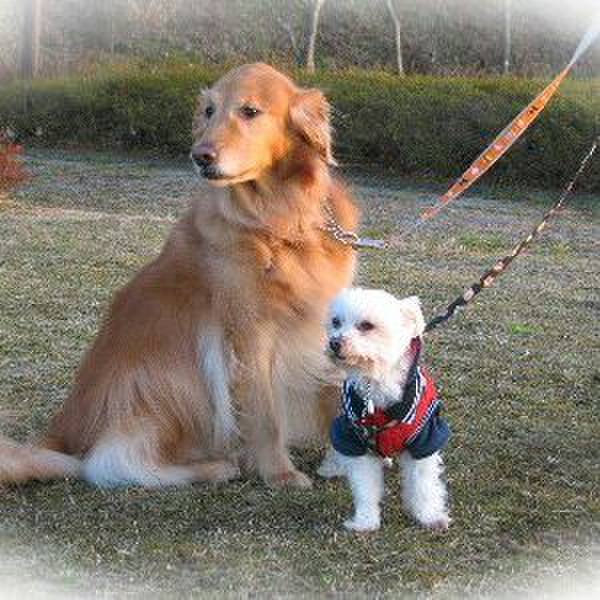 7716ca11 5285 418e 975a e6ef44ba389e