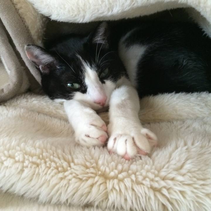 7717aa21 97a6 4a8c a0be 99a8656d8b0f