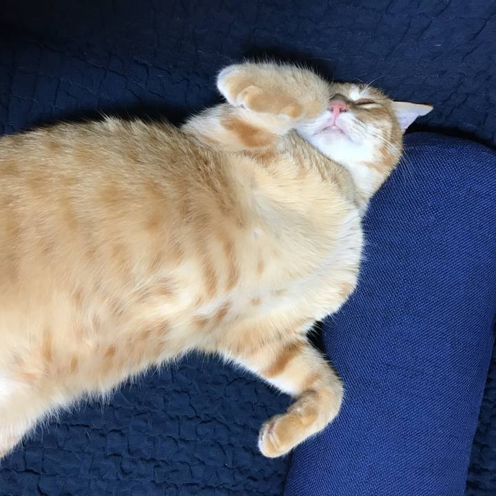 7718135c bd28 43f8 b3e5 cb8a52dcf0fc