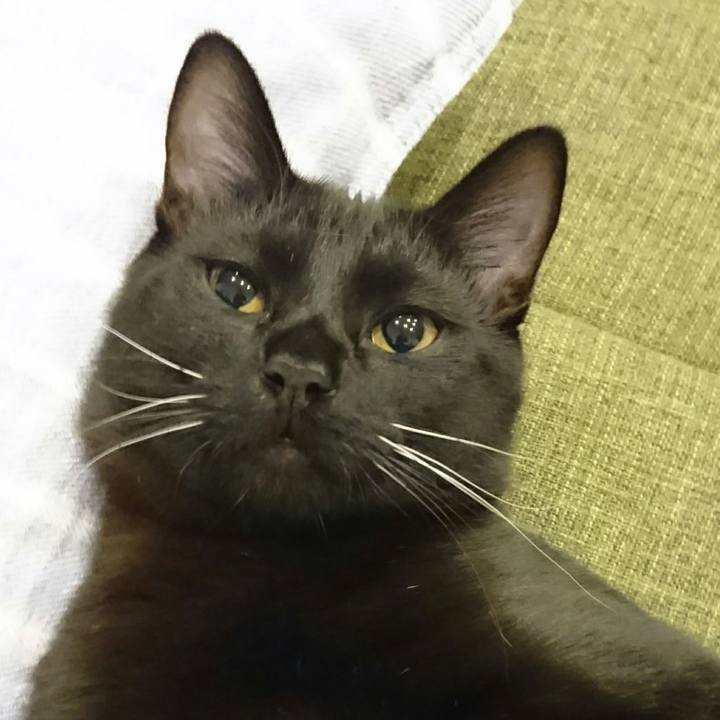 77181eae ffaa 4975 8ebf 40a1e50a5f26