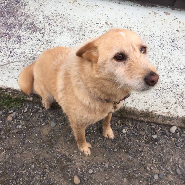 77186a3b ec82 4b90 99ec 3389ab421c50