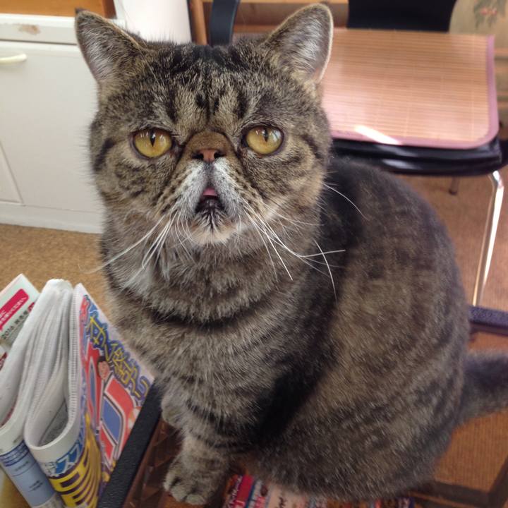 77188928 26af 49da a347 561193e6aadf