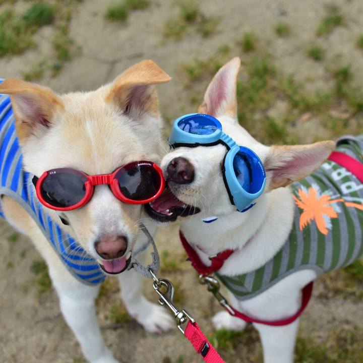 7719048d 2c72 44bd 8c4b 8ff67e49102d