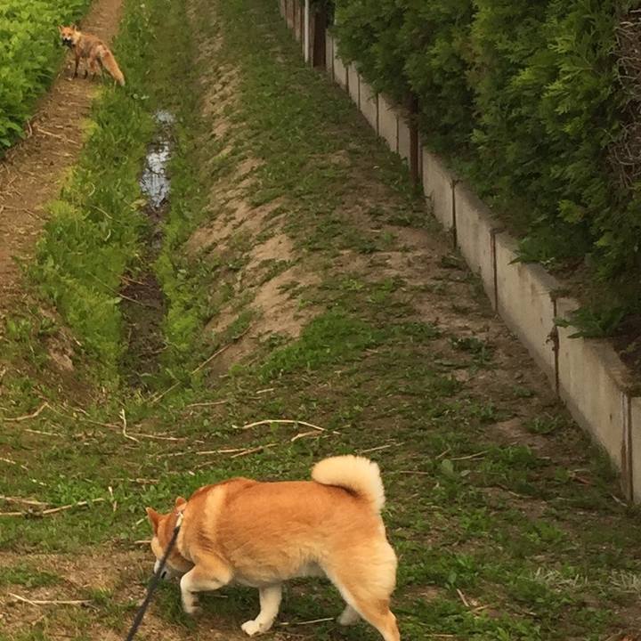 7719161e 8011 4fb7 8a4c f0924eaed81d