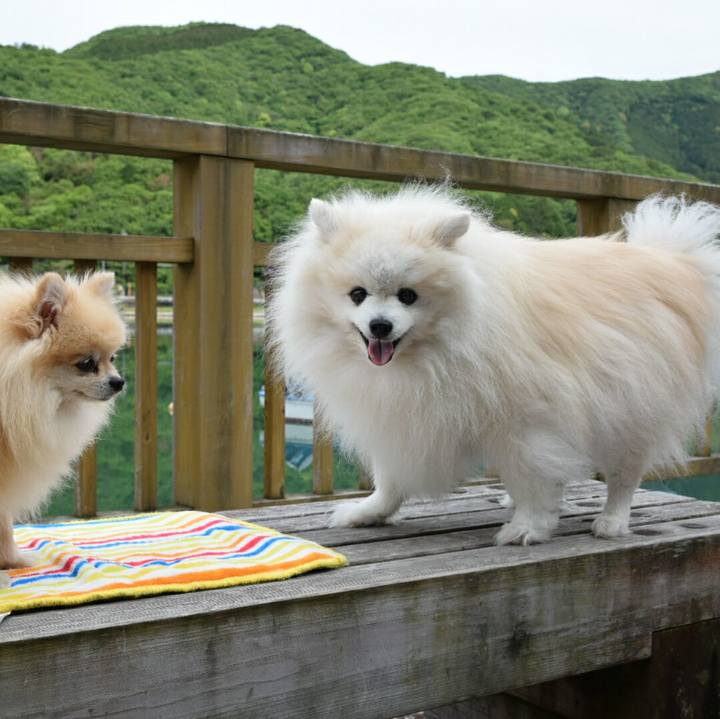 77192a51 ac72 4c6a a4a9 493617ca7178