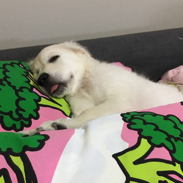 7719b8cf 71ab 4160 9708 d4320bf22f4e