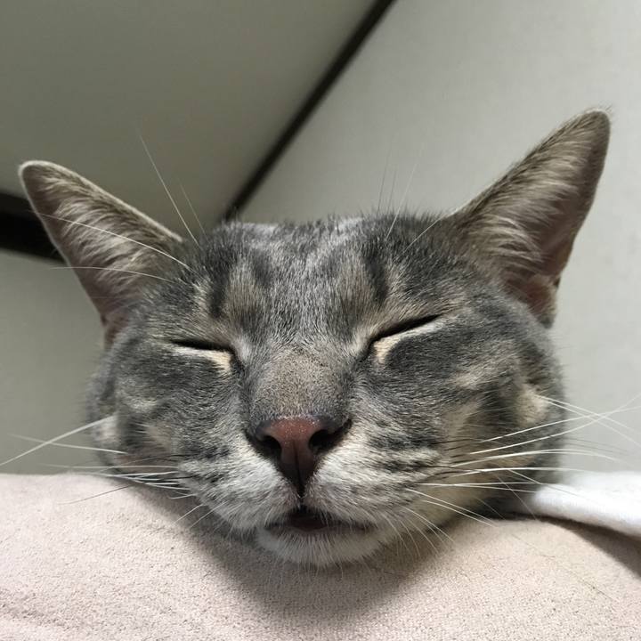 7719e0b6 d291 44b1 a49a c7fd240d2f94