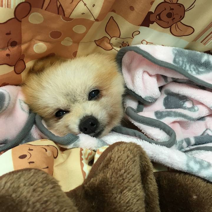 7719f3dd 7b4d 456e a60a f03db6920c0e