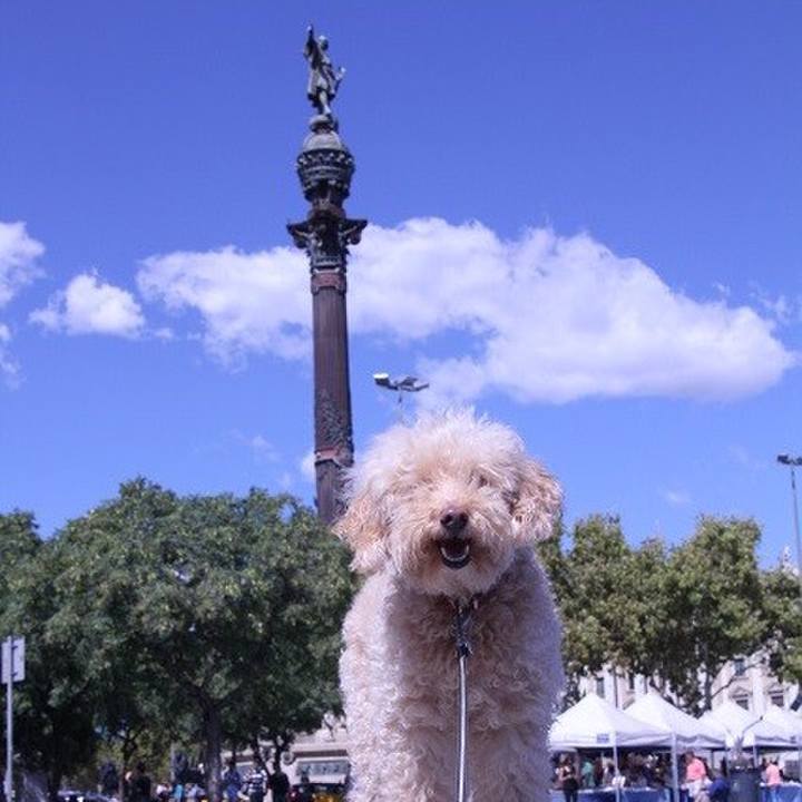 7719fee8 a166 4f4c b797 cdd7036d17cd