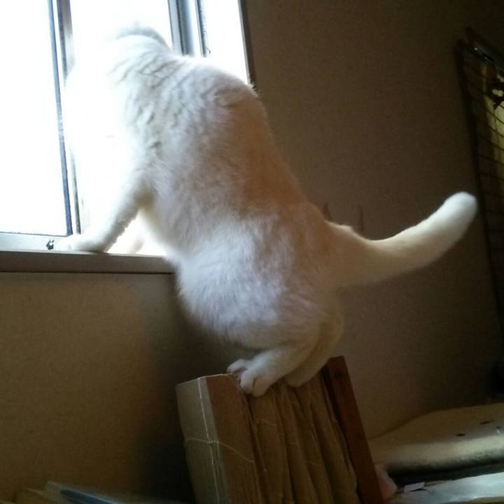 771a645a 0395 419f 9969 9e301aa29b69