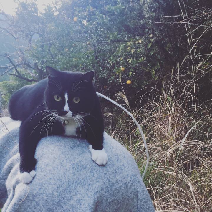 771adae6 bd42 474a a47a e4e8e1741a2b