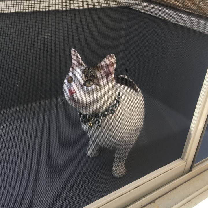 771bfa19 8e9e 4d63 a148 2e8899d5e888