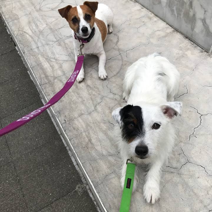 771c67f7 a820 4fee a1f3 440882bf454b