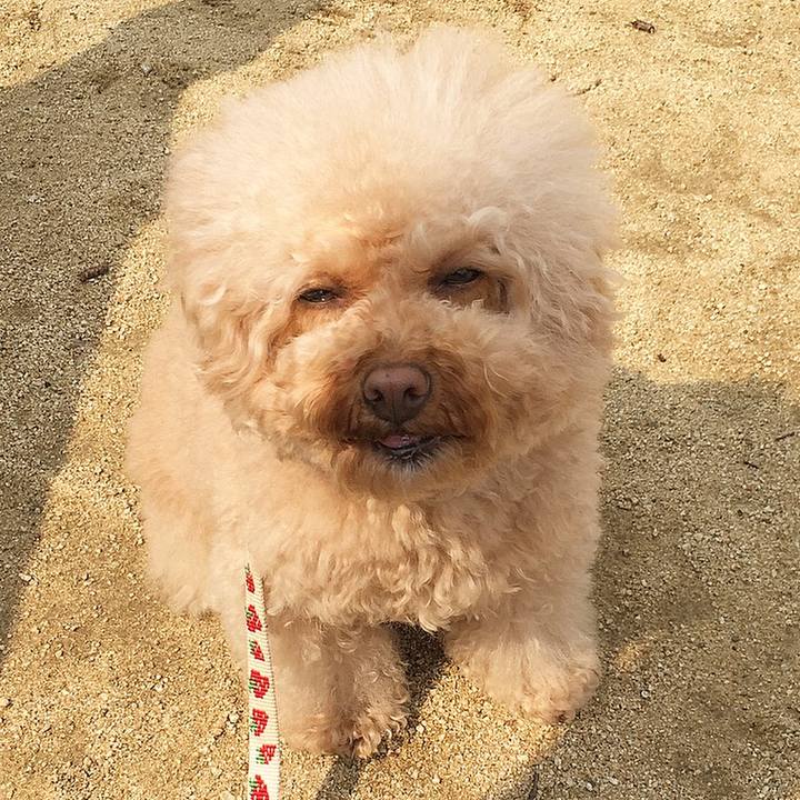 771e2feb 4aee 4829 b69b 70f65adc3501