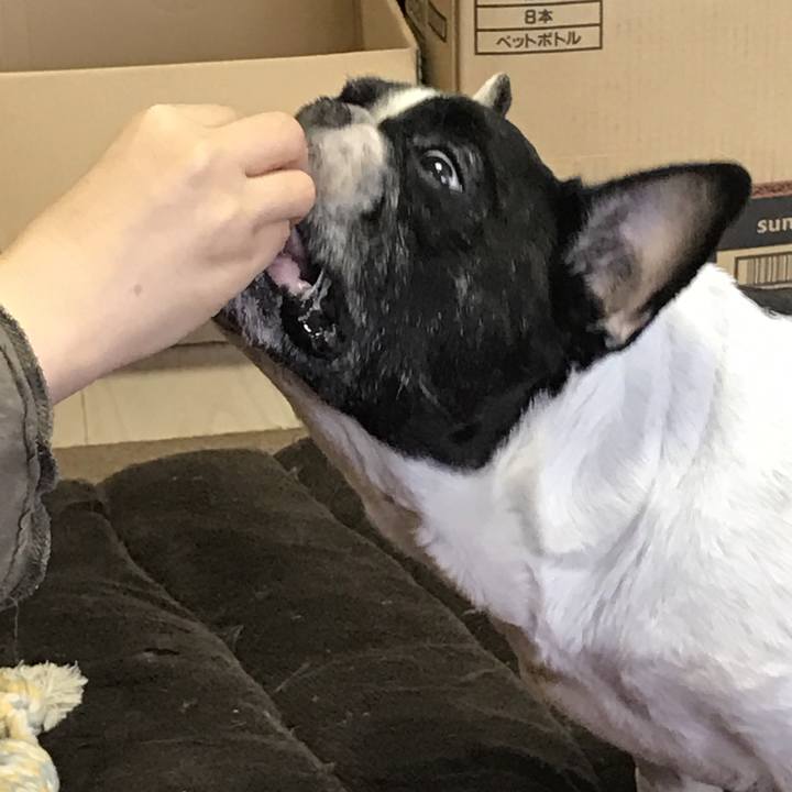 771eab56 323b 4b3e a48d 3982b6a24f47