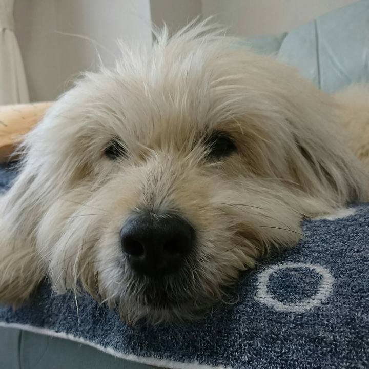 771f062b 4a43 445e 9d02 4c8222915aec