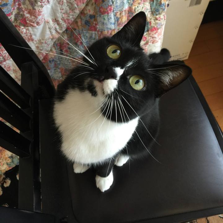 771f5f7f 9cba 495a 884c 8ad41d2dada4