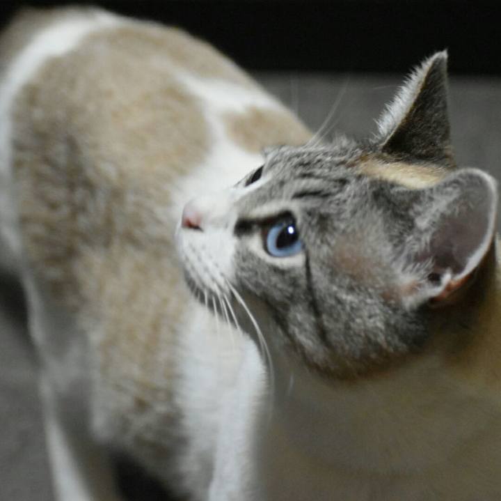 771f6284 1420 4c65 a662 6ad5e472be02