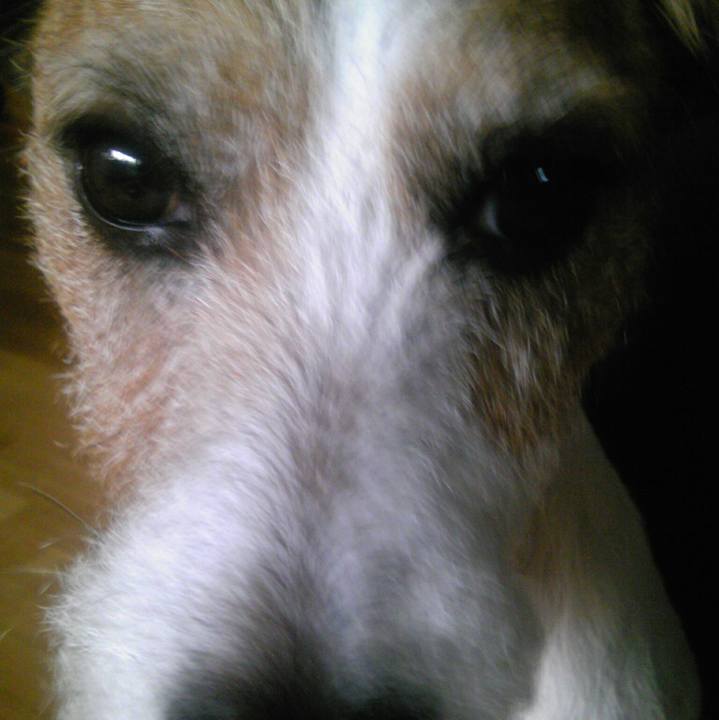 771fb928 56a2 40e1 8e23 aac6468b63d2