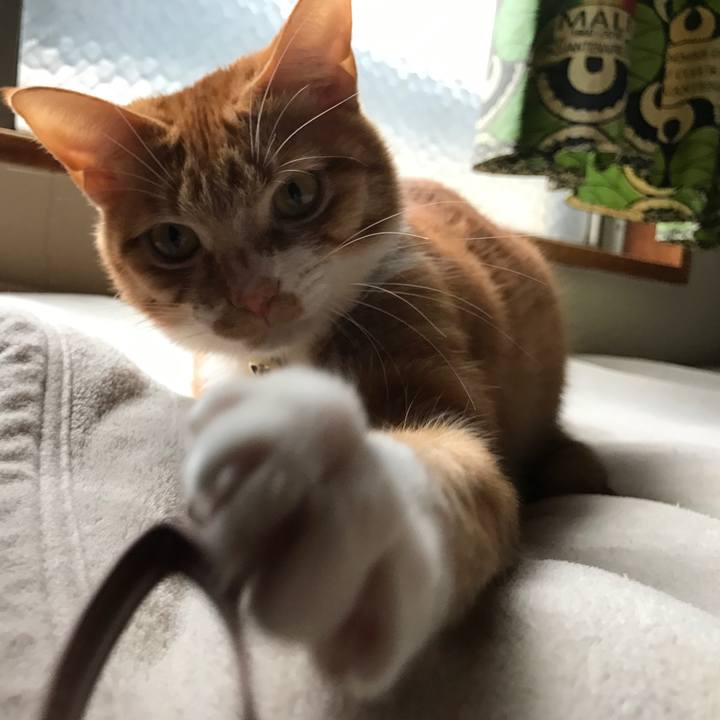 771fd86b 87e5 4782 ac1f a5f8b532cd0d