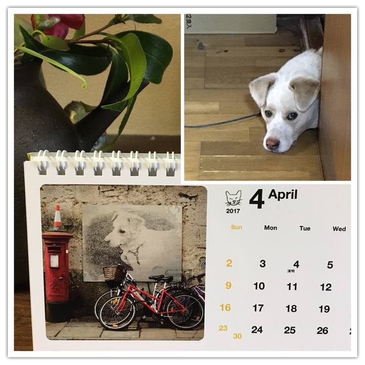 772086fe 20db 4ee8 9a59 fe3524bff9e8