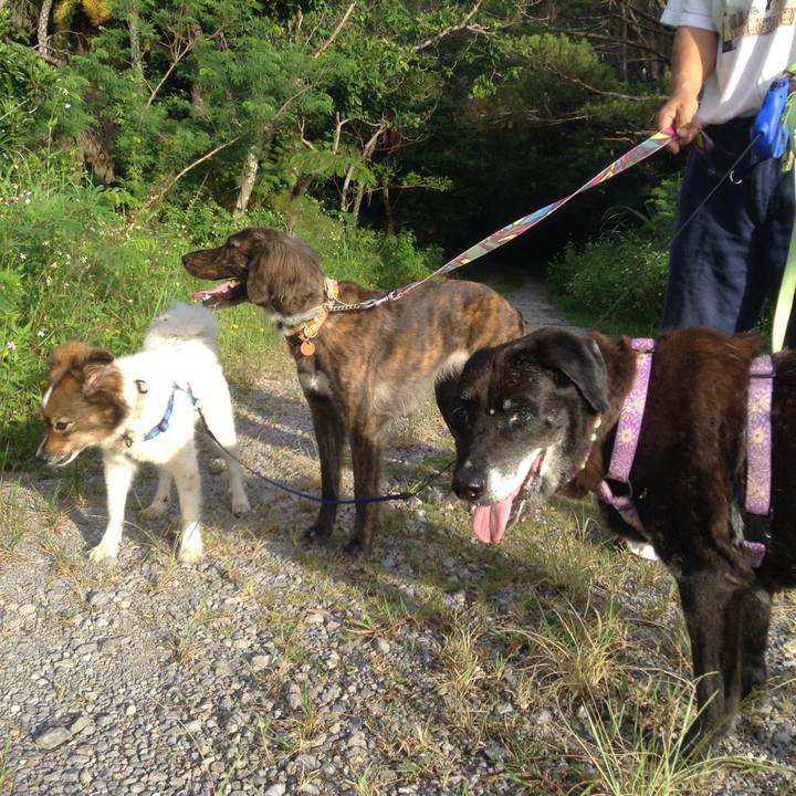 77209936 ac5c 40e8 a80a 478becd19e51