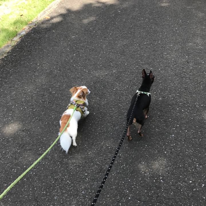 7720cc99 5ada 49bd 94c0 9811d4ddd333