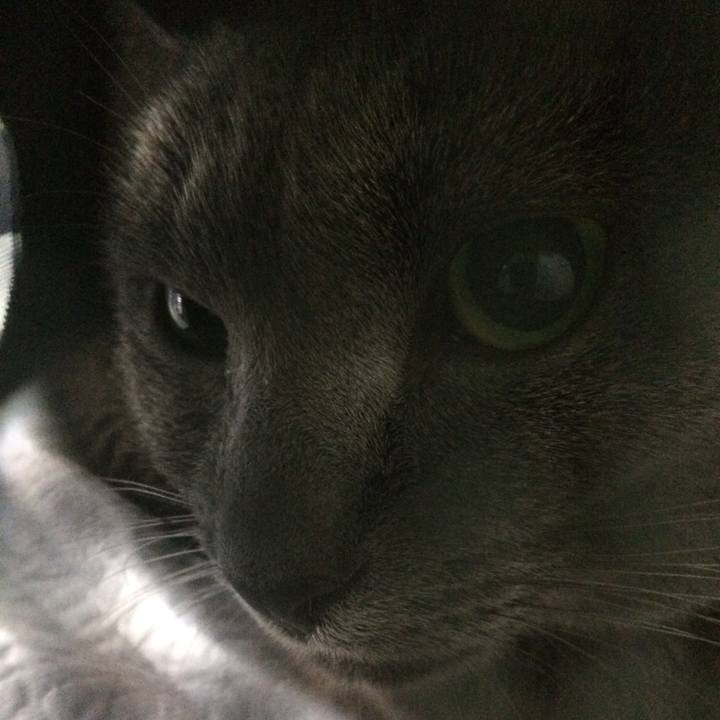 77213bea 51a2 48cc 9d5b 8211278457bd