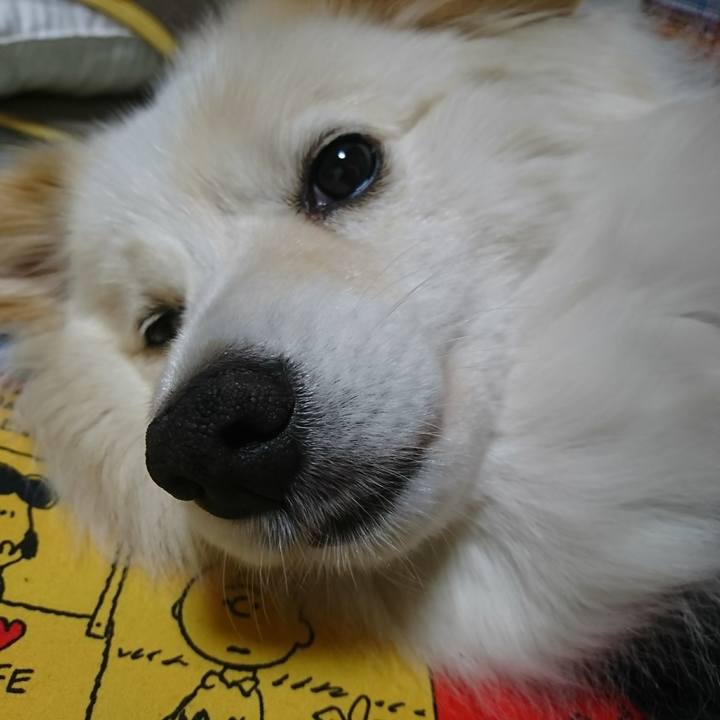 77219b93 91f9 4ca6 adf8 725e0e5e1478