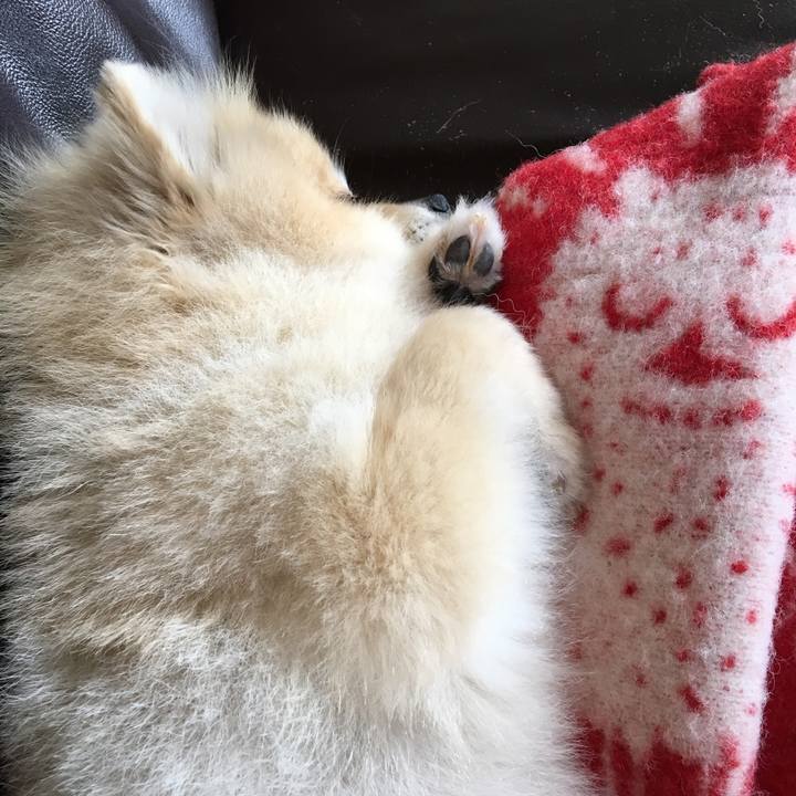 7721e9d1 b4fd 42e0 8fa9 1caf36352f4f