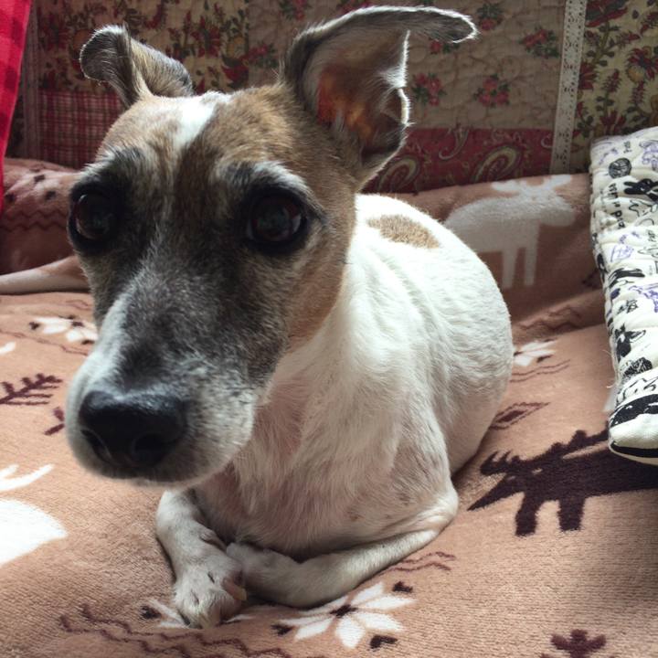 77237394 bad0 4491 8070 805f64402de3