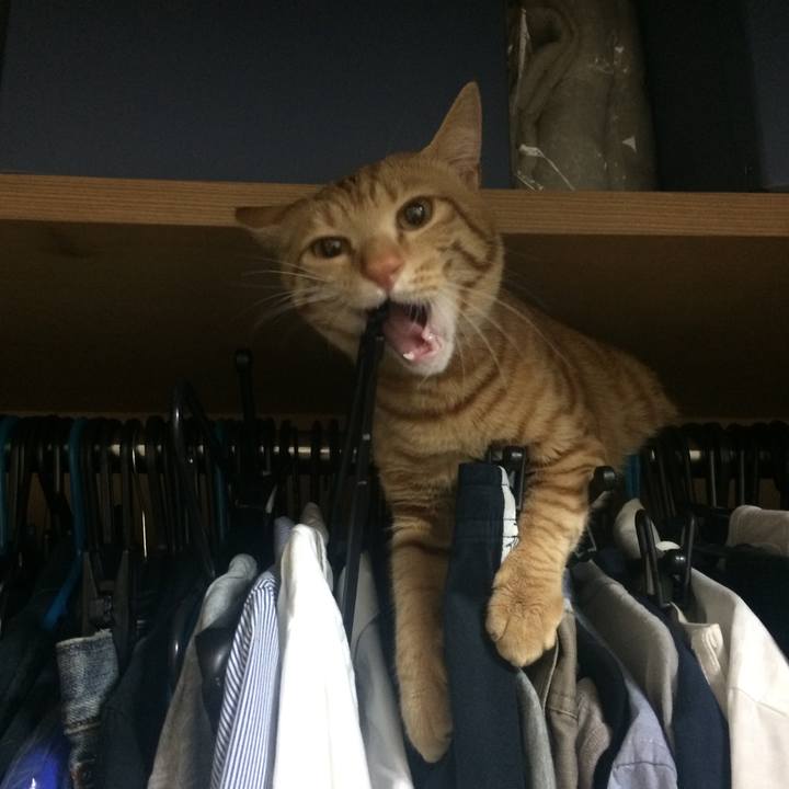 772379b1 be4d 4390 a684 e42cb29cdd36