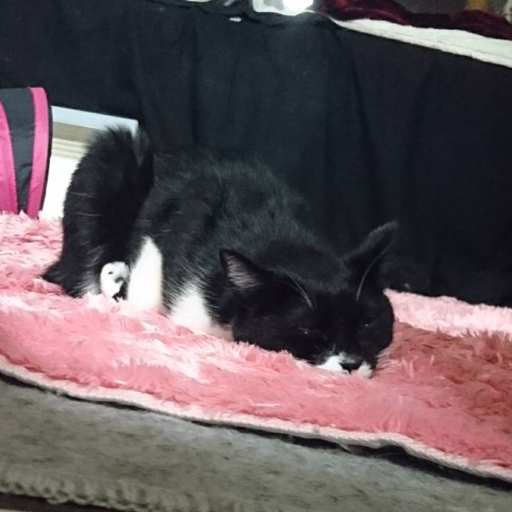 7723b328 013a 4b7e b5d7 9786dd3c00bd