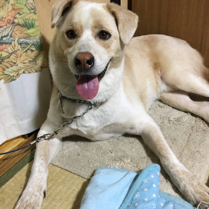 77247e7d 2df0 4d23 b0ef 3f06d9de2b19