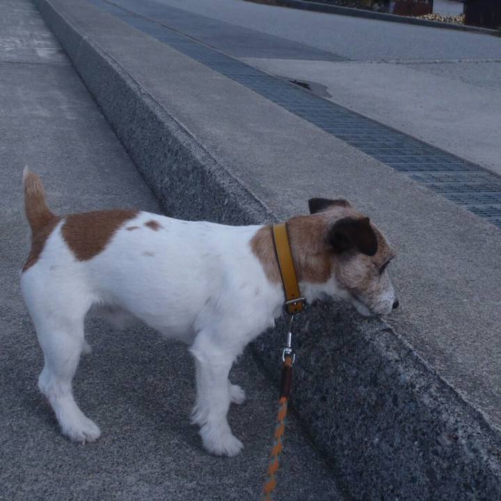 7725097d 8bbb 462b ac1b 047e520c9847