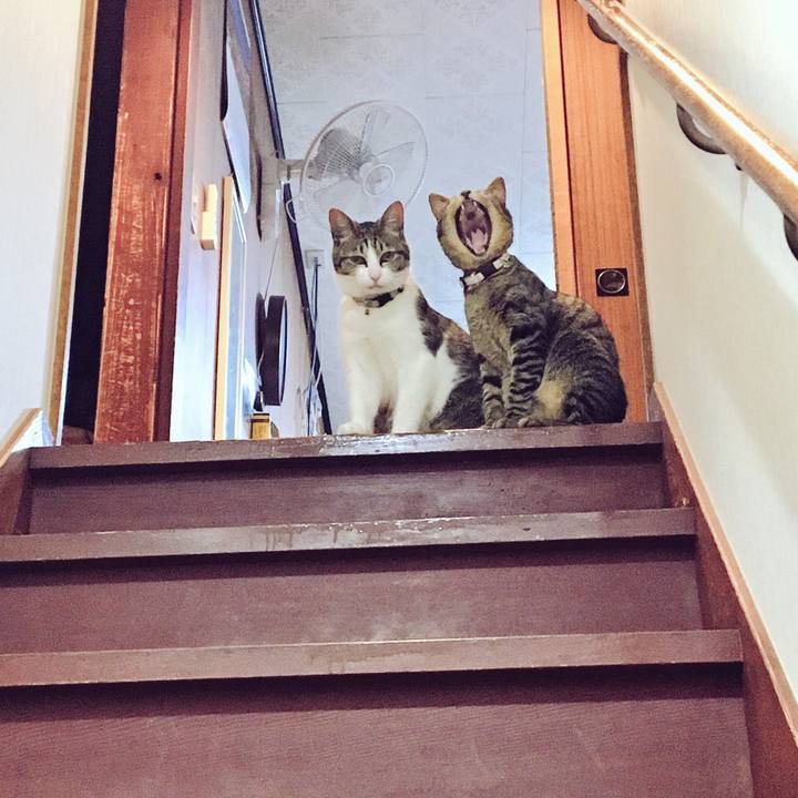 7725412a 2b72 40a5 b9ca be038bd68d18